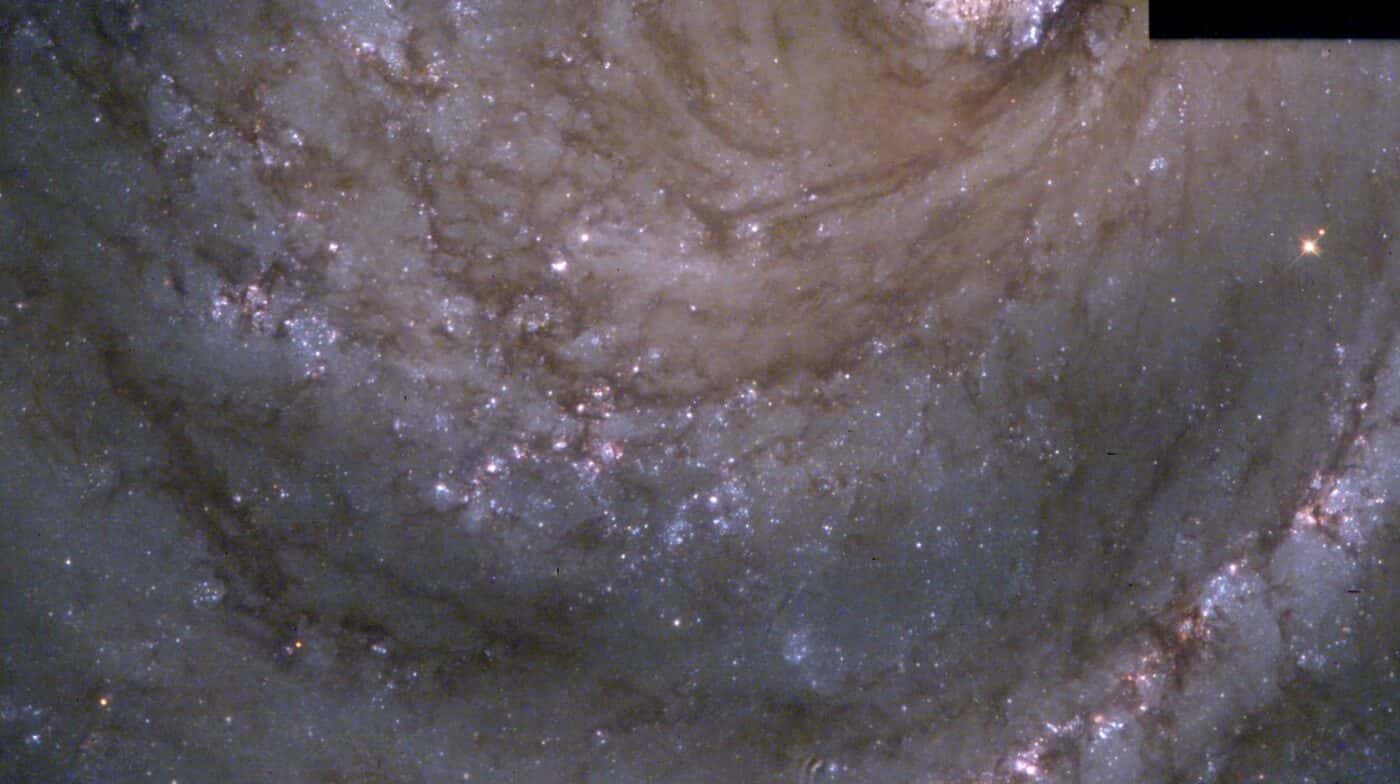 Hubble Space Telescope detail of the spiral arms of galaxy M100 — dust lanes and bright blue star-forming clusters where the Cepheid variables that anchor the cosmic distance ladder are found
